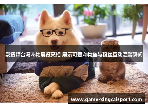 戴资颖台湾宠物展览亮相 展示可爱宠物鱼与粉丝互动温馨瞬间