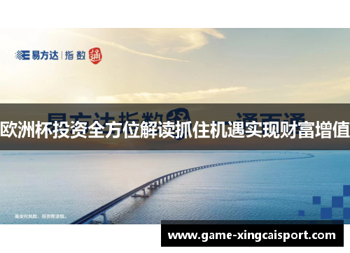 欧洲杯投资全方位解读抓住机遇实现财富增值
