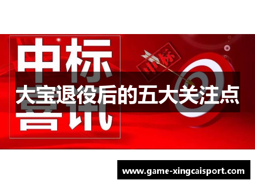 大宝退役后的五大关注点