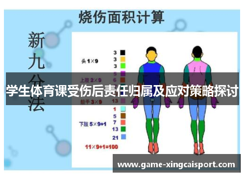 学生体育课受伤后责任归属及应对策略探讨