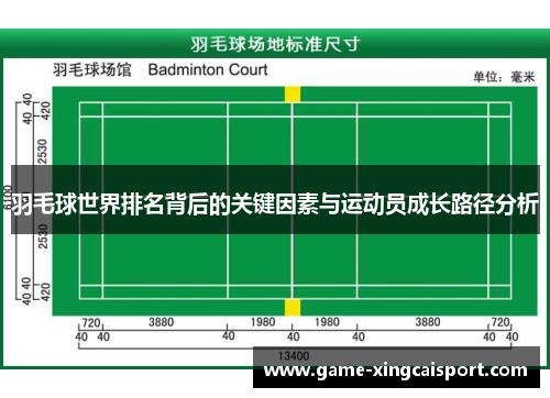 羽毛球世界排名背后的关键因素与运动员成长路径分析