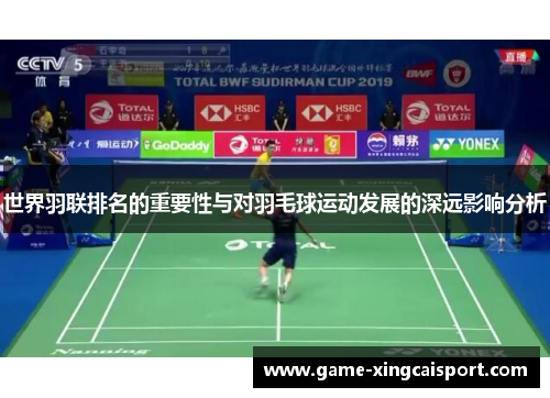 世界羽联排名的重要性与对羽毛球运动发展的深远影响分析