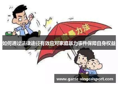 如何通过法律途径有效应对家庭暴力事件保障自身权益