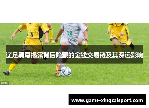 辽足黑幕揭露背后隐藏的金钱交易链及其深远影响