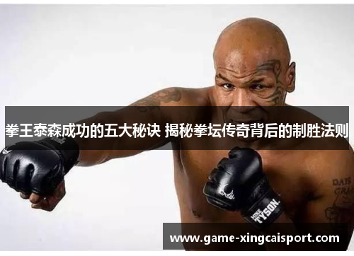 拳王泰森成功的五大秘诀 揭秘拳坛传奇背后的制胜法则